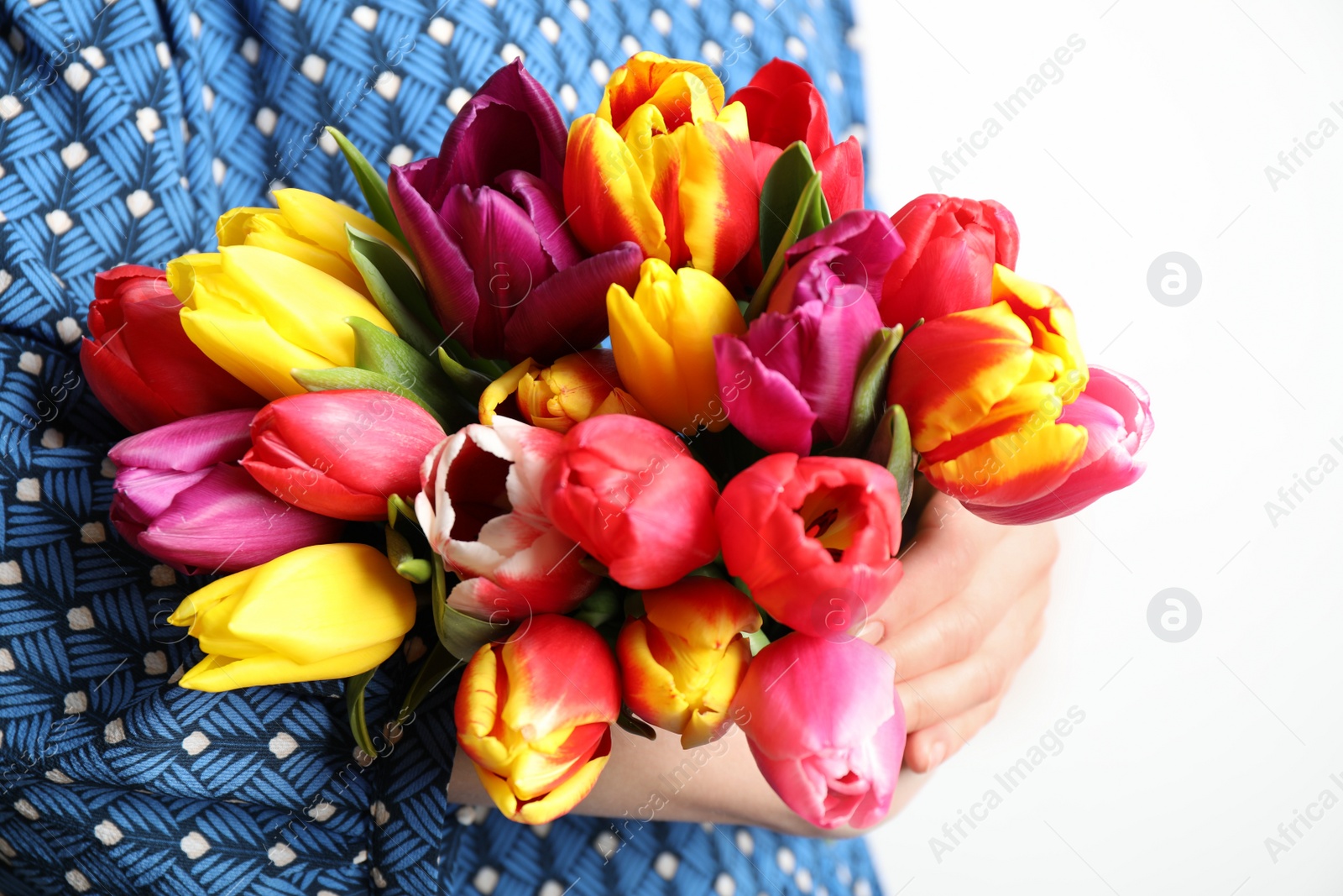 Photo of Woman holding beautiful spring tulips on white background, closeup