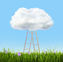 Image of Wooden ladder with cloud in green field under blue sky. Conceptual design 