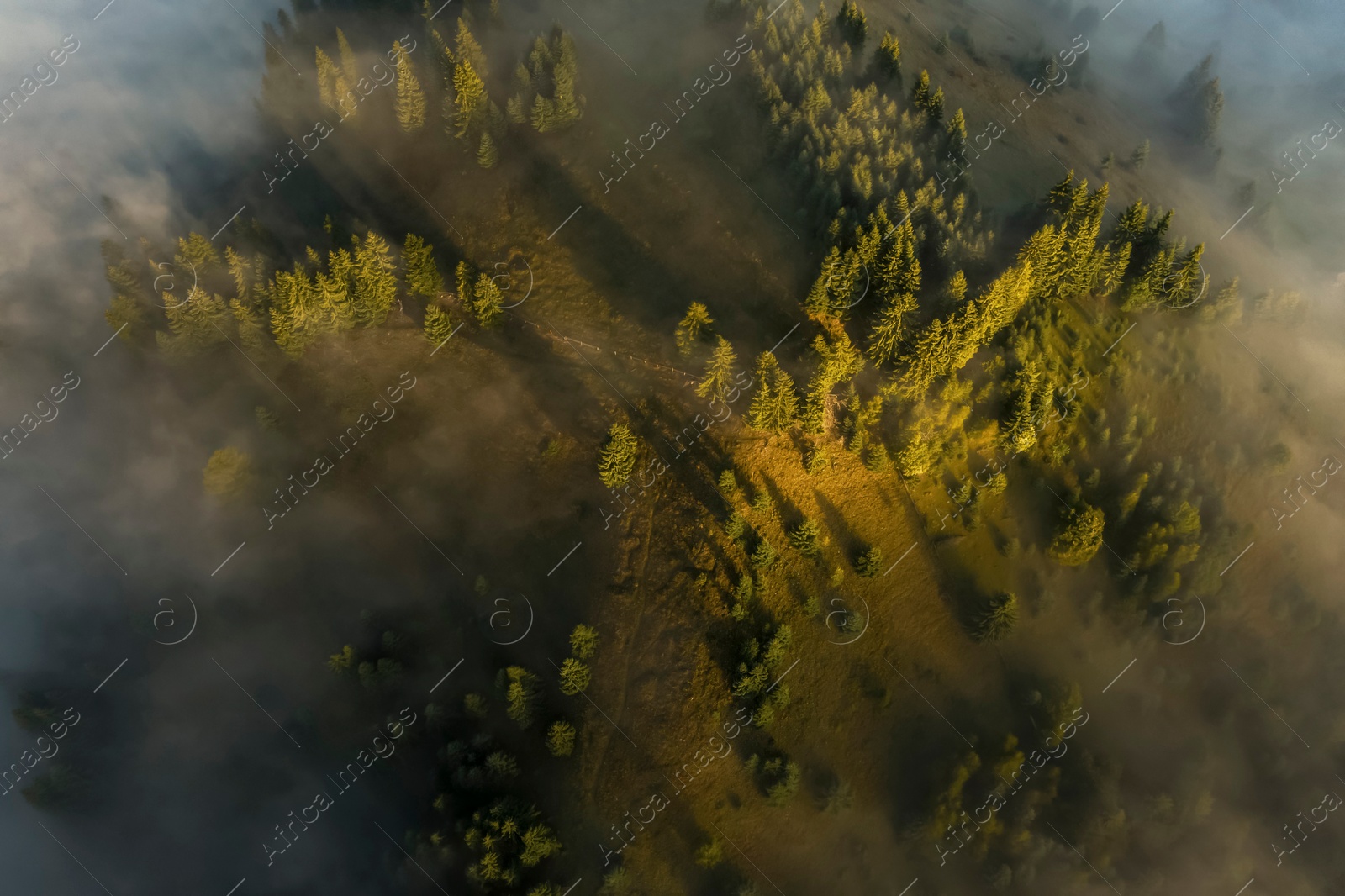 Image of Aerial view of beautiful landscape with misty forest 