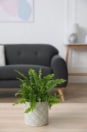 Photo of Beautiful green fern on wooden table in living room