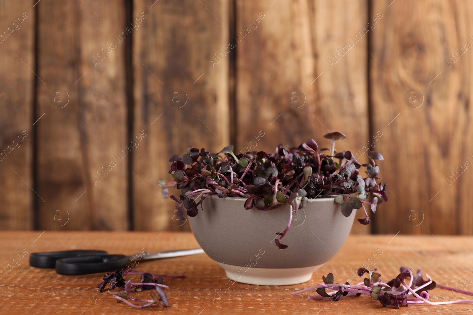 Photo of Fresh radish microgreens in bowl and scissors on wooden table