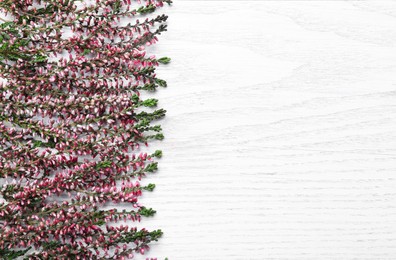 Photo of Heather branches with beautiful flowers on white wooden table, flat lay. Space for text