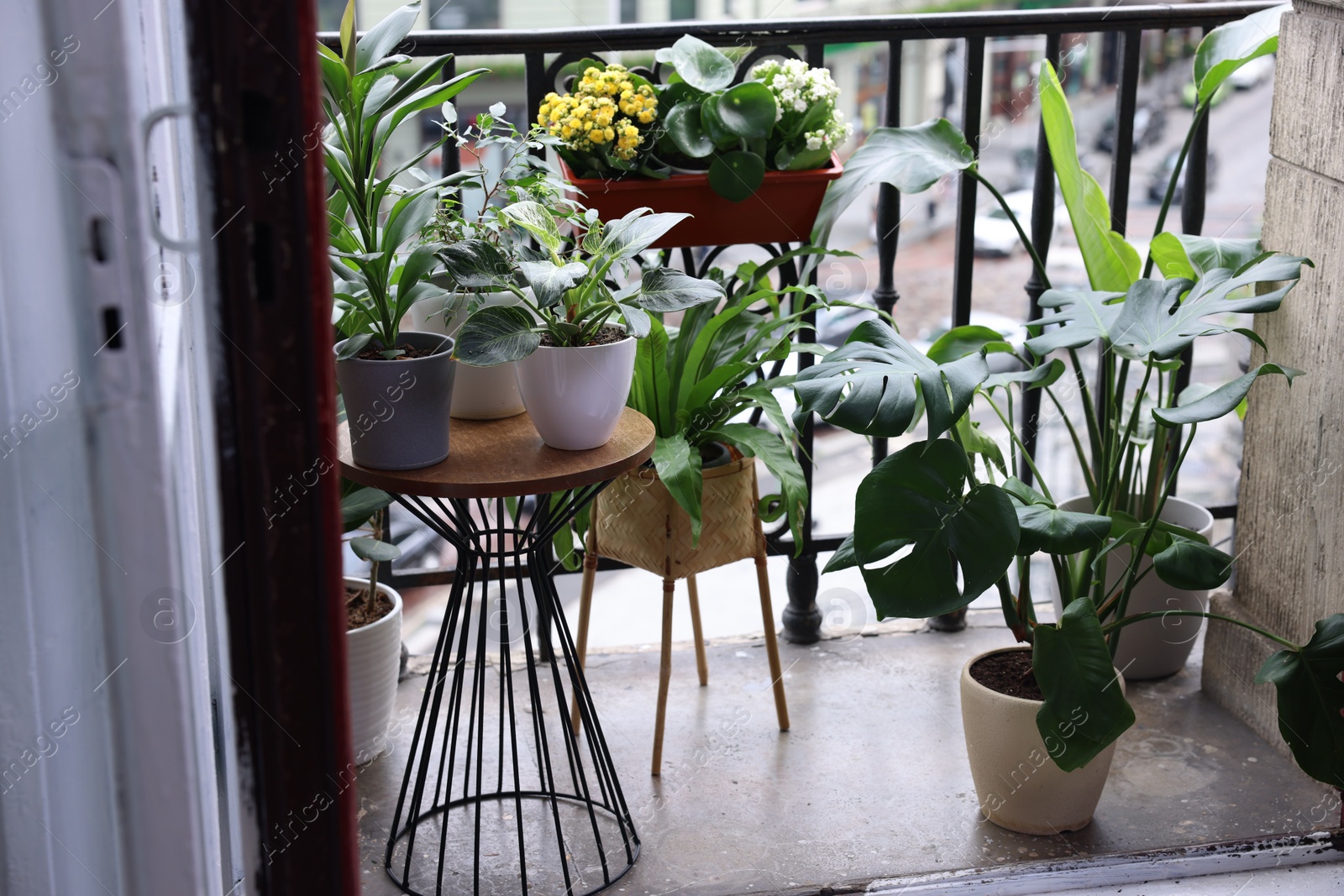 Photo of Many different beautiful plants in pots on balcony