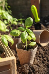 Photo of Beautiful seedlings in peat pots on soil outdoors