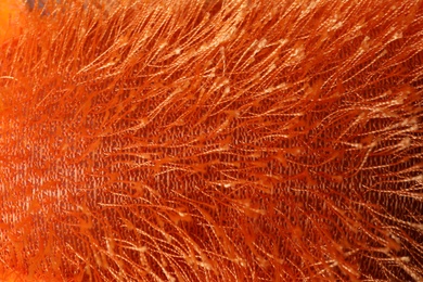 Texture of orange knitted fuzzy fabric as background, closeup