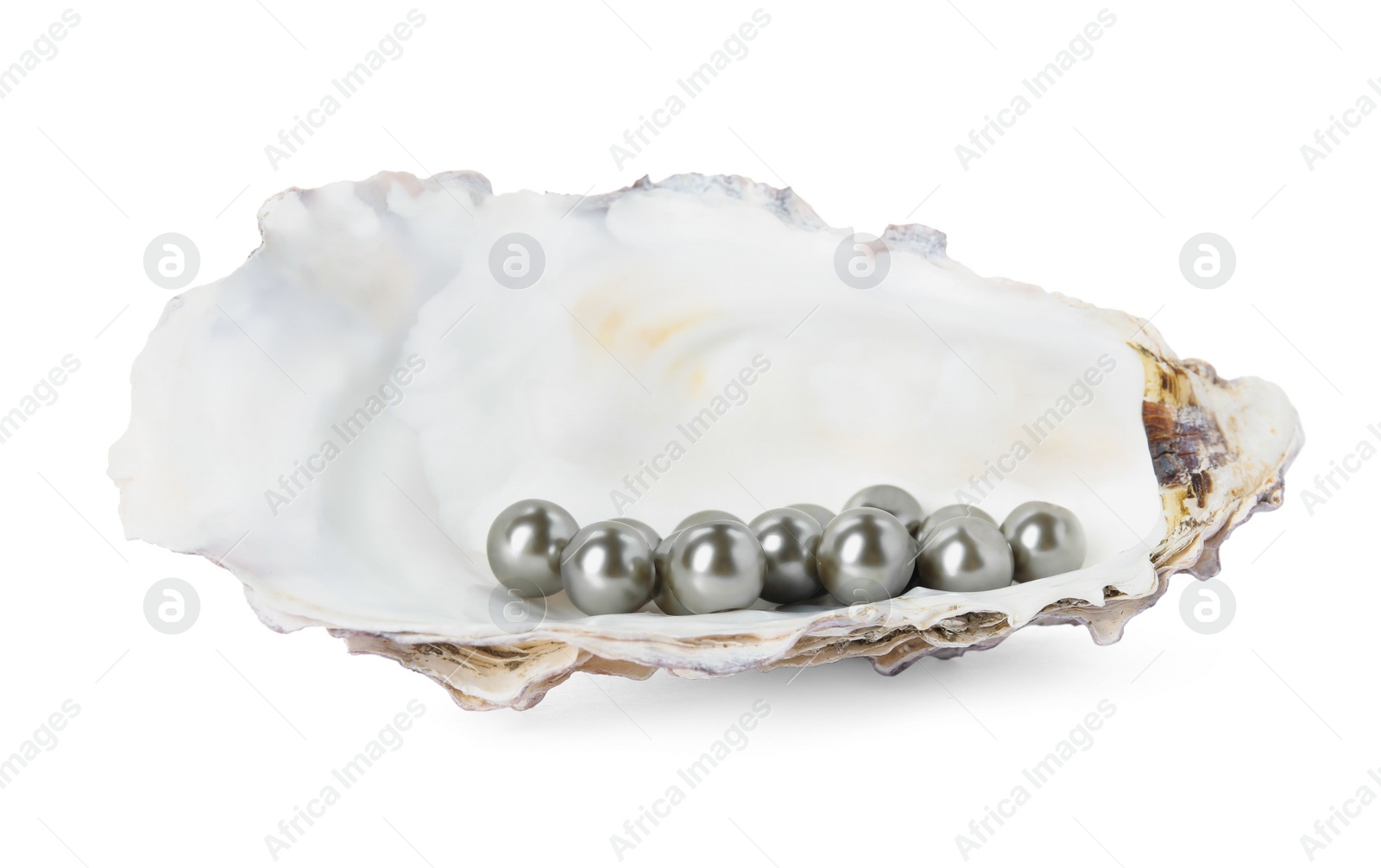 Photo of Oyster shell with black pearls on white background