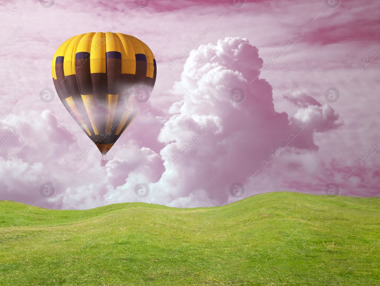 Image of Dream world. Hot air balloon in pink cloudy sky over green meadow