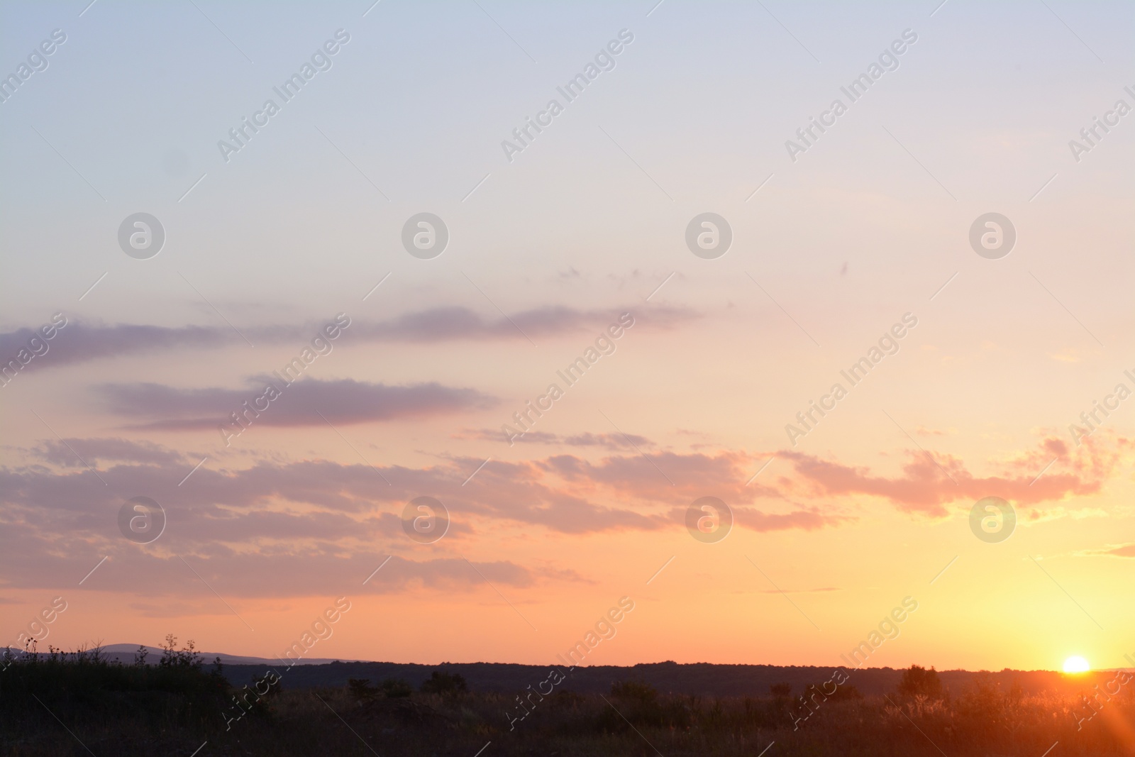 Photo of Picturesque view of beautiful field at sunset