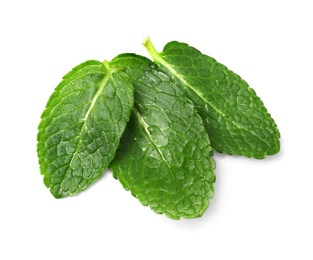 Wet leaves of fresh mint isolated on white