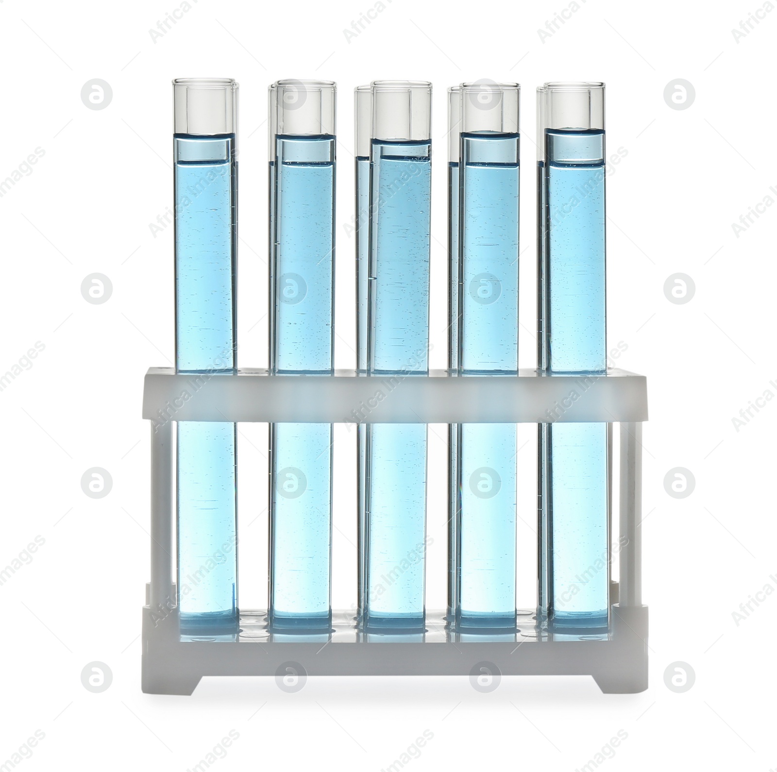 Photo of Test tubes with light blue liquid in rack isolated on white