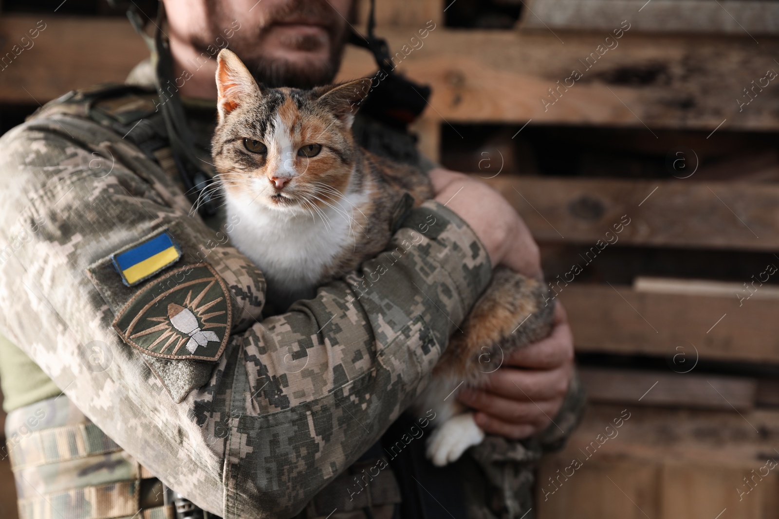 Photo of Ukrainian soldier with stray cat outdoors, closeup