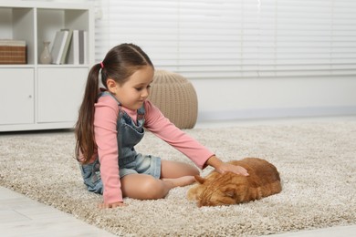 Photo of Little girl petting cute ginger cat on carpet at home