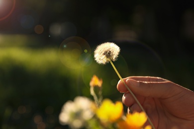 Photo of Woman with fluffy dandelion outdoors on sunny day, closeup. Space for text