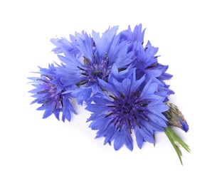 Photo of Beautiful light blue cornflowers isolated on white, top view