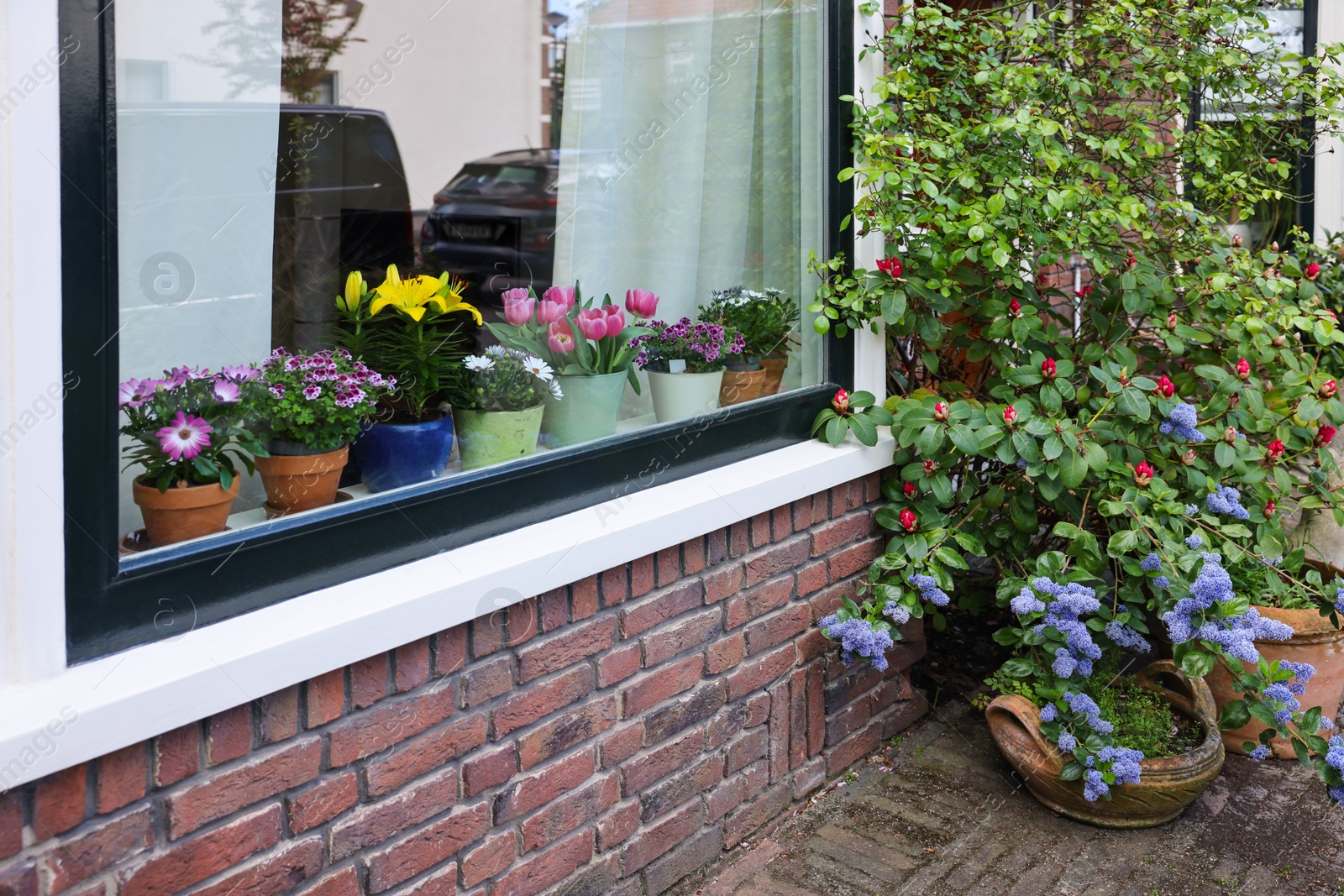 Photo of House decorated with many beautiful potted flowers, view from outside