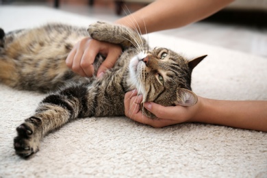 Photo of Woman stroking her cat while it resting on carpet at home