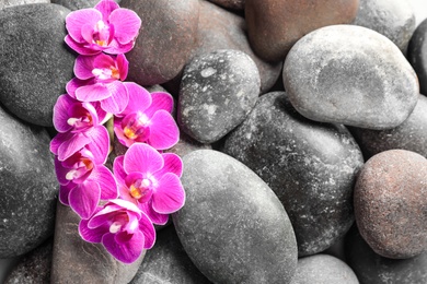 Photo of Spa stones and orchid flowers as background, top view