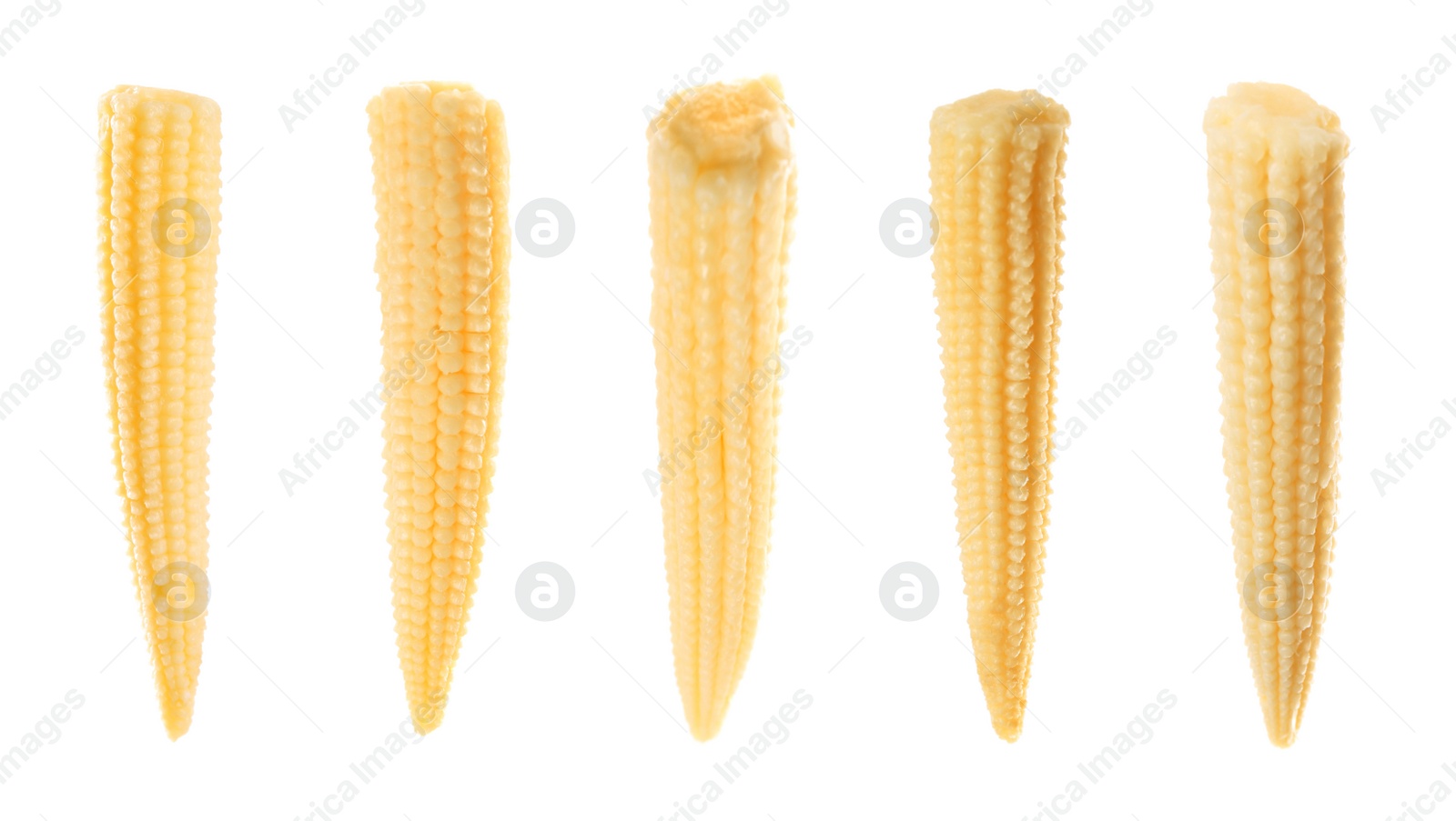 Image of Set with tasty baby corn cobs on white background. Banner design