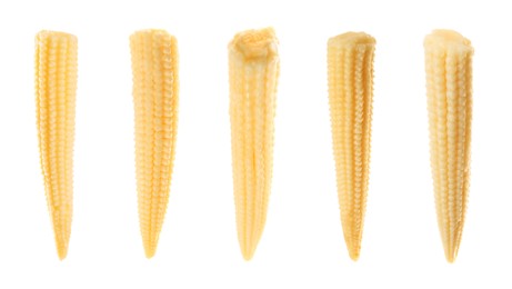 Image of Set with tasty baby corn cobs on white background. Banner design
