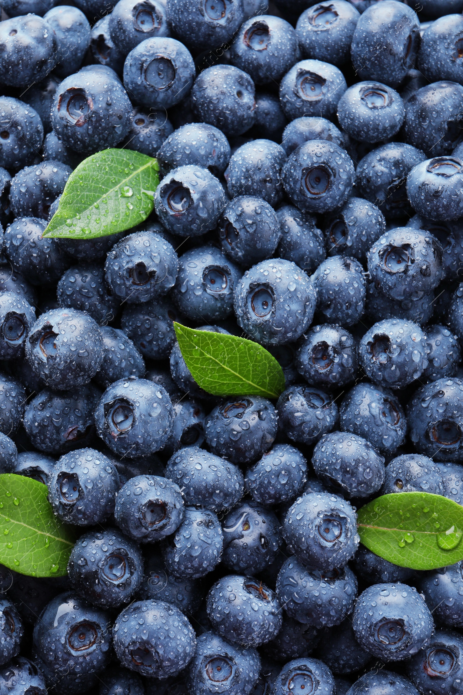 Photo of Wet fresh blueberries with green leaves as background, top view