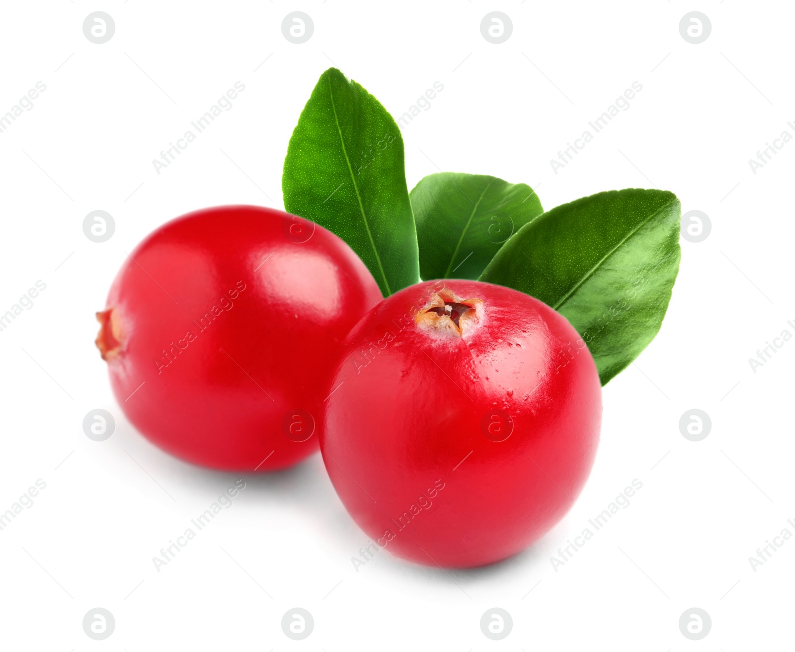 Image of Fresh ripe red cranberries and green leaves on white background