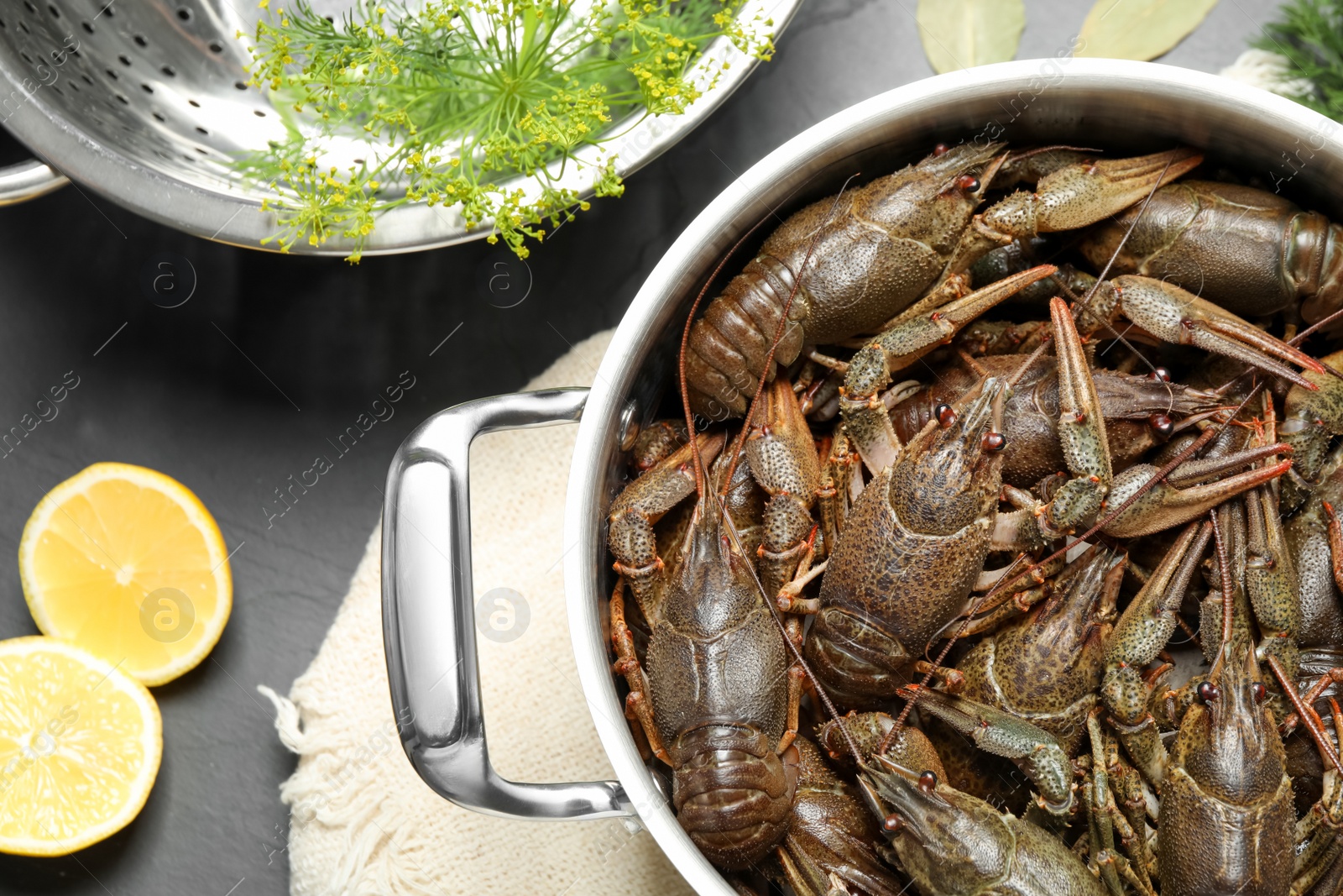 Photo of Fresh raw crayfishes in pot on black table, flat lay