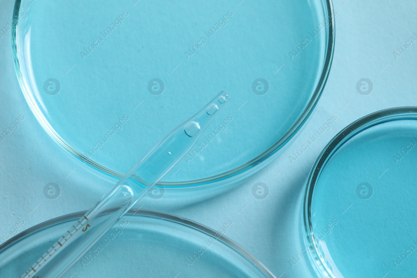 Photo of Measuring pipette and petri dishes on light blue table, flat lay