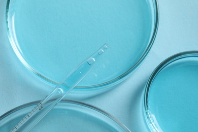 Measuring pipette and petri dishes on light blue table, flat lay