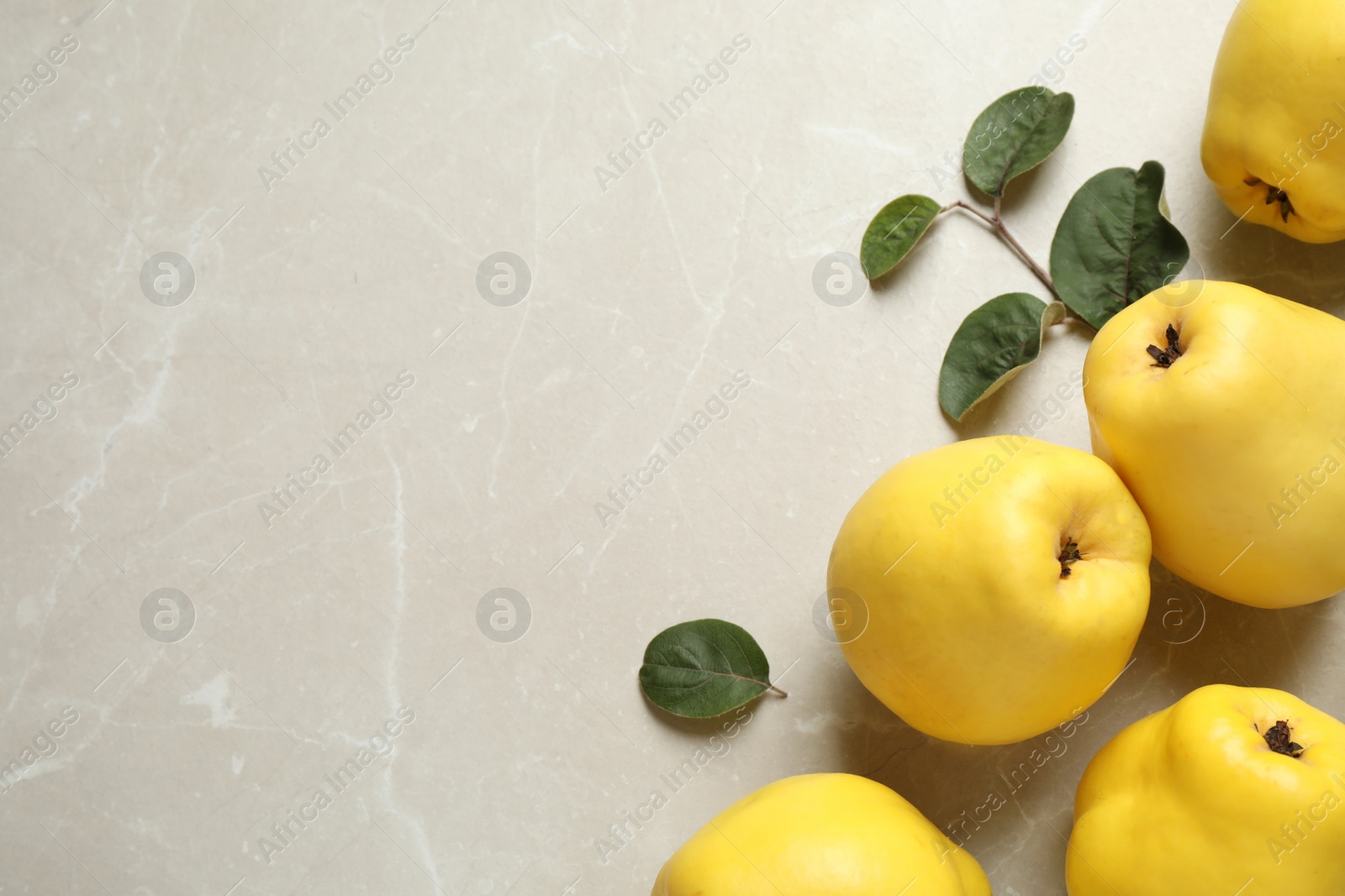 Photo of Fresh ripe organic quinces with leaves on light table, flat lay. Space for text