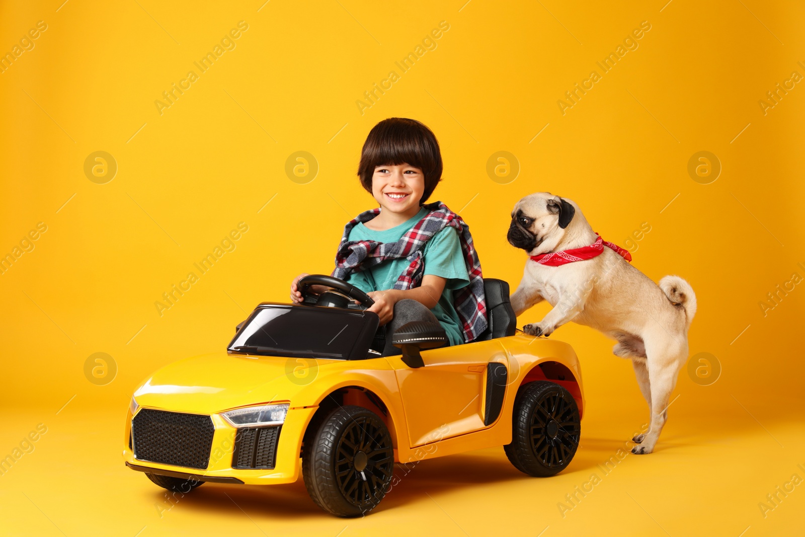 Photo of Little boy and his dog playing with toy car on yellow background