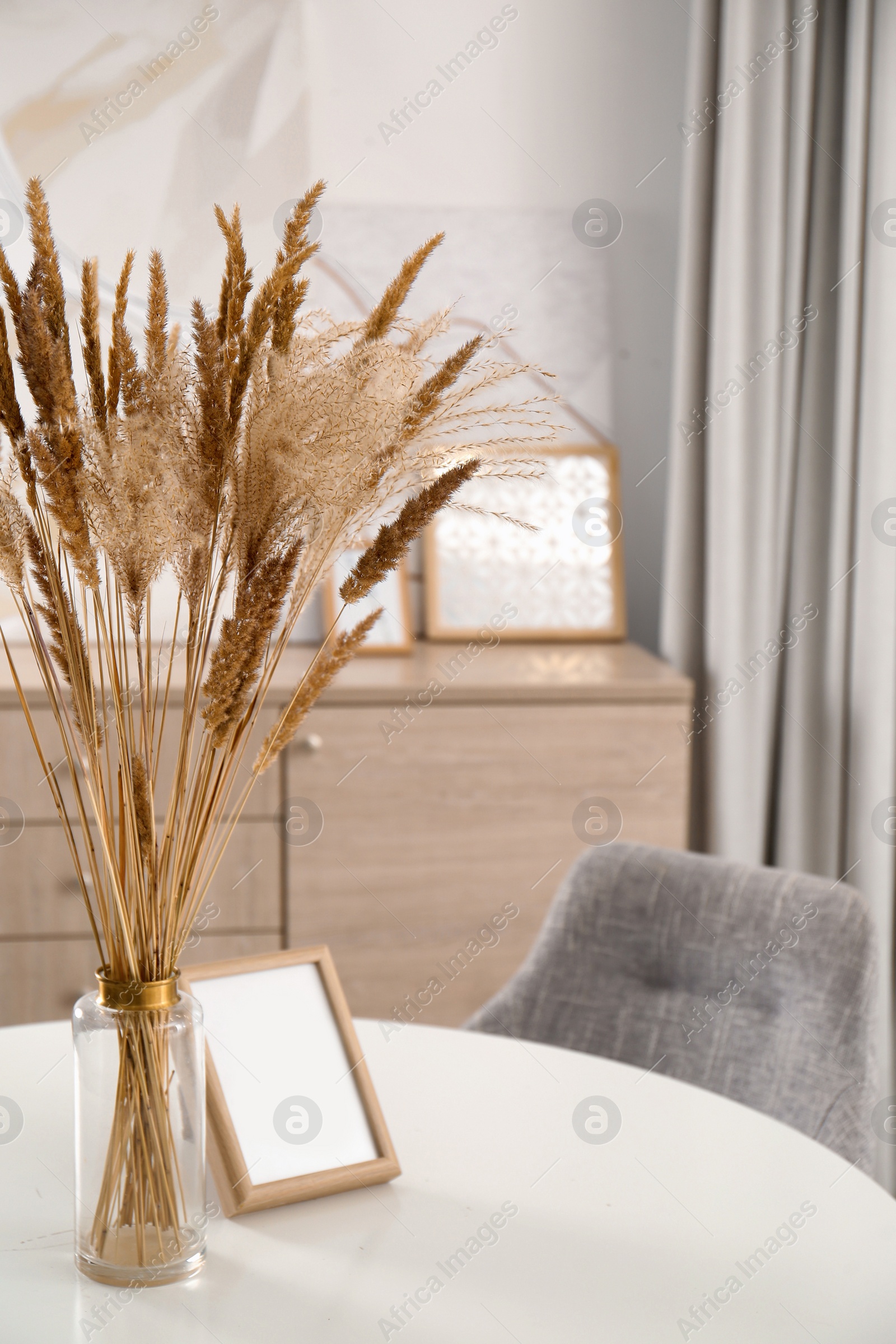 Photo of Dry plants and photoframe on white table indoors. Interior design