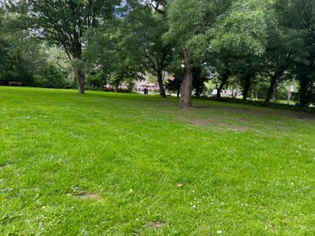 Photo of Beautiful view of green lawn and trees in park