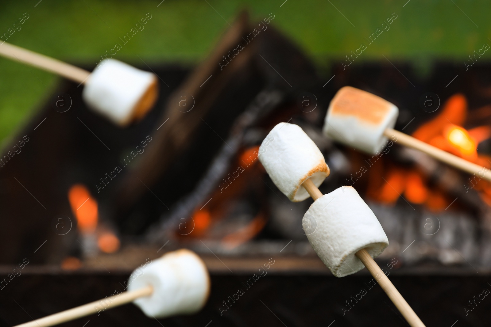 Photo of Delicious puffy marshmallows roasting over bonfire, closeup. Space for text