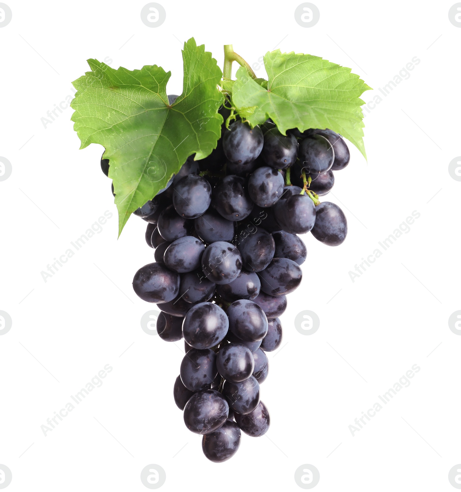 Photo of Bunch of fresh ripe juicy grapes isolated on white