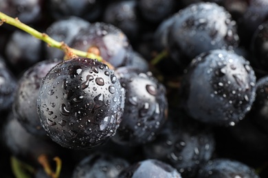 Fresh ripe juicy black grapes as background, closeup view