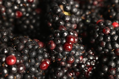 Photo of Wet tasty ripe blackberries as background ,closeup