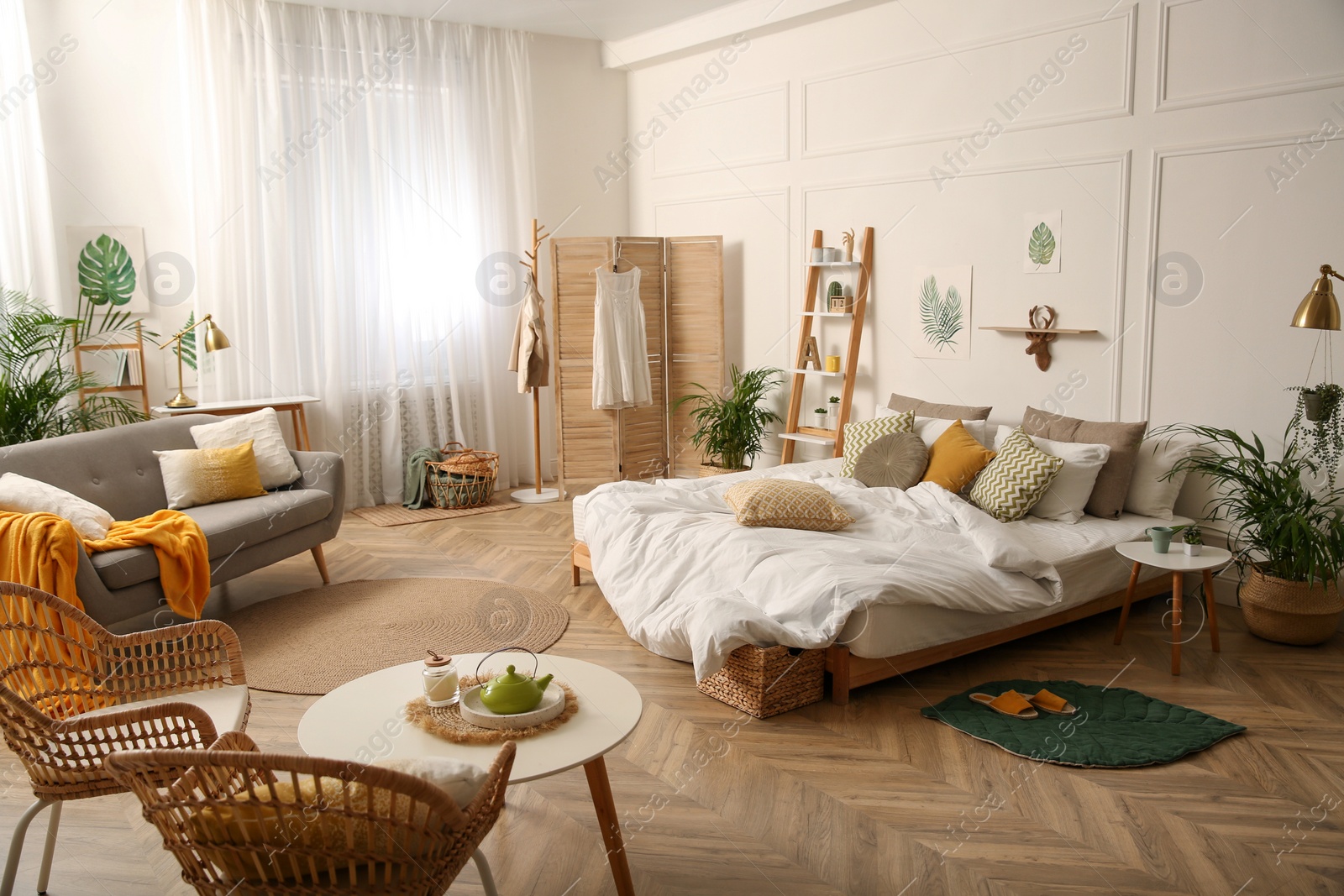 Photo of Beautiful fresh house plants in contemporary bedroom