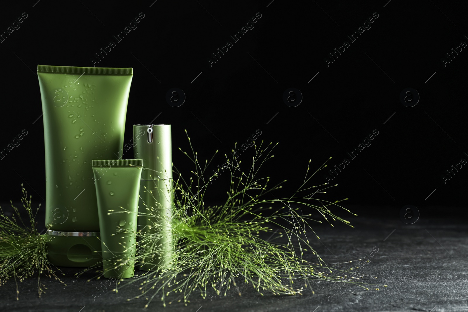 Photo of Set of cosmetic products and plants on grey stone table against black background. Space for text