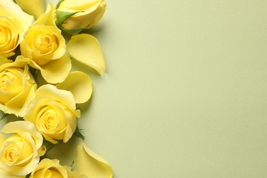 Beautiful yellow roses and petals on light olive background, flat lay. Space for text