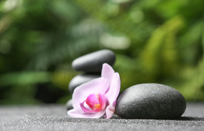 Photo of Stones and orchid flower on black sand against blurred background. Zen concept