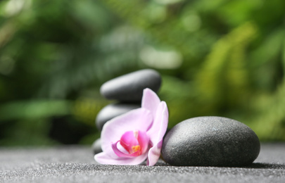 Stones and orchid flower on black sand against blurred background. Zen concept