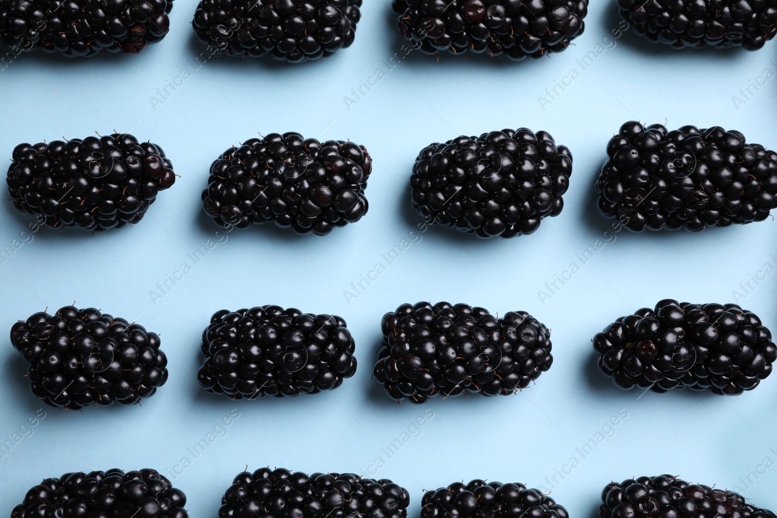 Photo of Tasty ripe blackberries on light blue background, flat lay