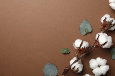 Flat lay composition with cotton flowers on brown background. Space for text