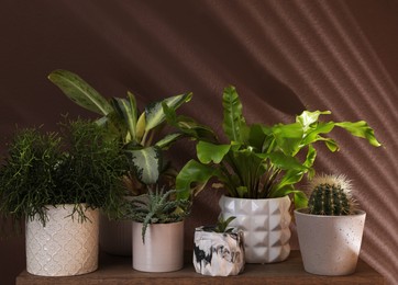 Photo of Many different houseplants in pots on wooden table near brown wall
