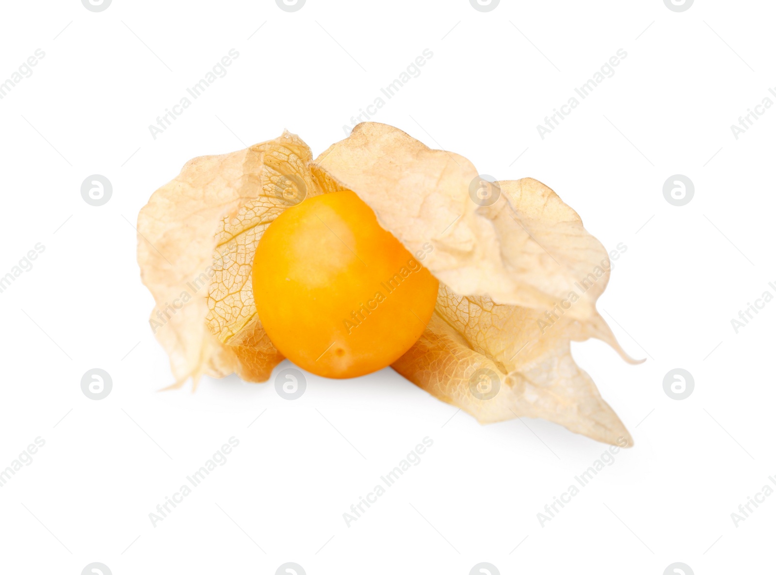 Photo of Ripe physalis fruit with calyx isolated on white