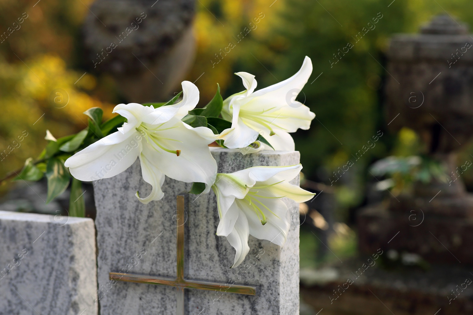 Photo of White lilies on granite tombstone outdoors, space for text. Funeral ceremony