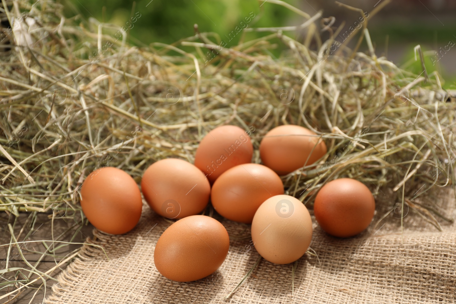 Photo of Fresh chicken eggs and dried hay on wooden table outdoors