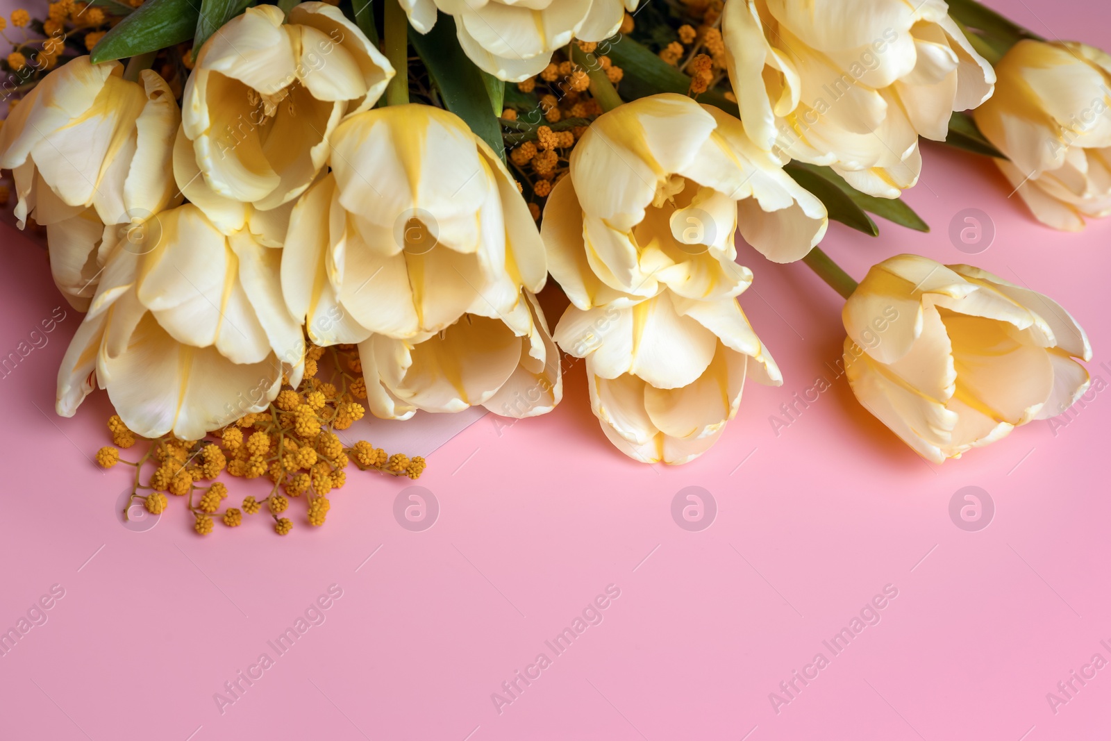 Photo of Bouquet with beautiful tulips and mimosa flowers on pink background. Space for text