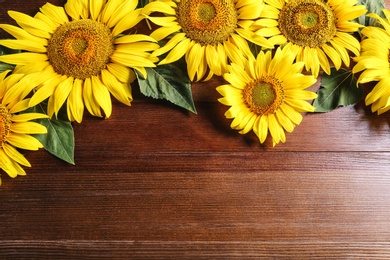 Photo of Beautiful bright sunflowers on wooden background, flat lay. Space for text
