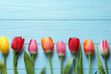 Beautiful tulips and space for text on wooden background, top view. Spring flowers